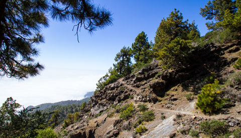 Bild zum Thema La Palma Wandern
