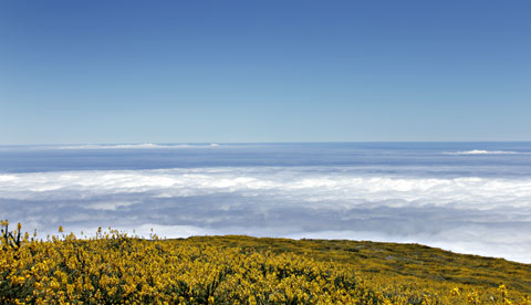 Bild zum Thema Klima La Palma