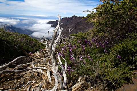 Wandern_Nationalpark.jpg